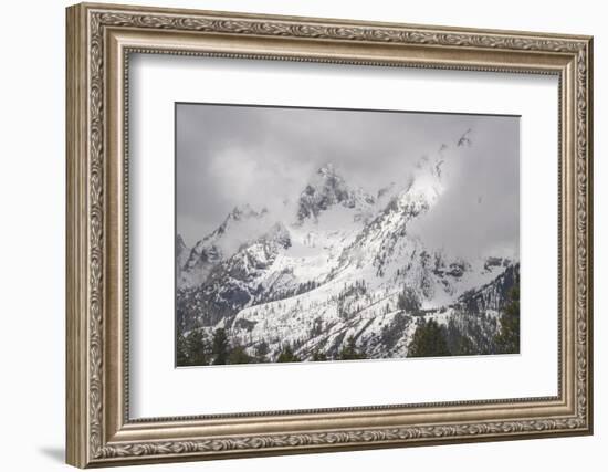 USA, Wyoming, Grand Teton National Park. Clouds over mountains during spring snowstorm.-Jaynes Gallery-Framed Photographic Print