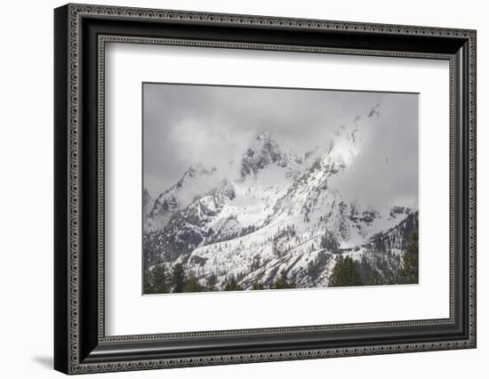 USA, Wyoming, Grand Teton National Park. Clouds over mountains during spring snowstorm.-Jaynes Gallery-Framed Photographic Print