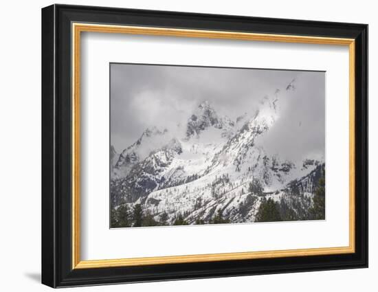 USA, Wyoming, Grand Teton National Park. Clouds over mountains during spring snowstorm.-Jaynes Gallery-Framed Photographic Print