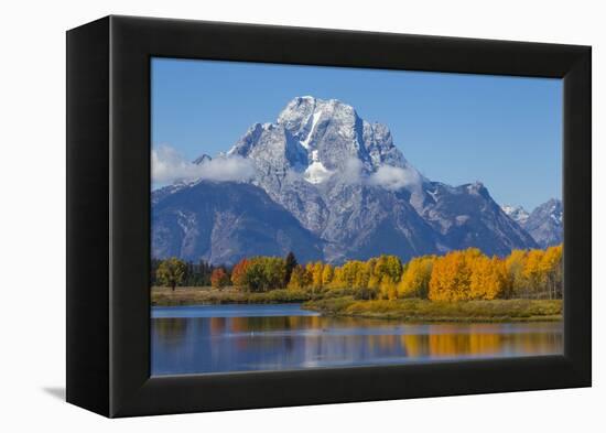 USA, Wyoming. Grand Teton National Park, fresh snowfall covers Mt. Moran on an autumn morning.-Elizabeth Boehm-Framed Premier Image Canvas