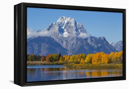 USA, Wyoming. Grand Teton National Park, fresh snowfall covers Mt. Moran on an autumn morning.-Elizabeth Boehm-Framed Premier Image Canvas