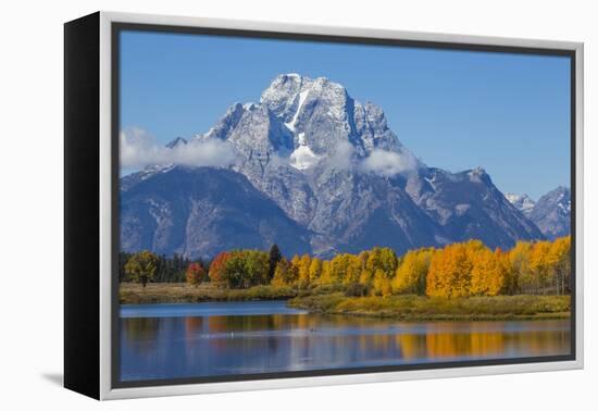 USA, Wyoming. Grand Teton National Park, fresh snowfall covers Mt. Moran on an autumn morning.-Elizabeth Boehm-Framed Premier Image Canvas