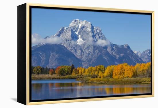 USA, Wyoming. Grand Teton National Park, fresh snowfall covers Mt. Moran on an autumn morning.-Elizabeth Boehm-Framed Premier Image Canvas