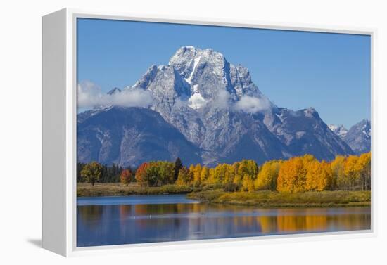 USA, Wyoming. Grand Teton National Park, fresh snowfall covers Mt. Moran on an autumn morning.-Elizabeth Boehm-Framed Premier Image Canvas