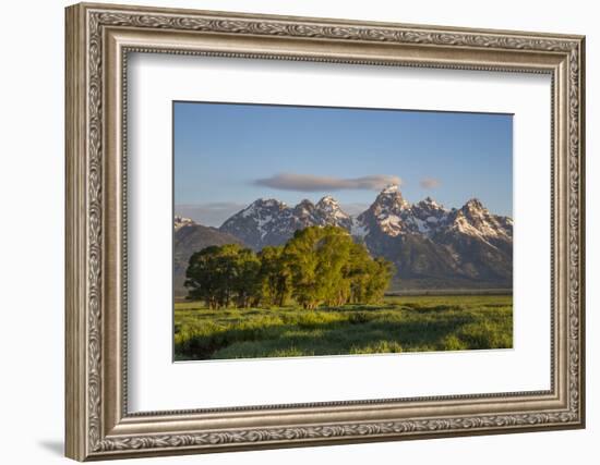 USA, Wyoming, Grand Teton National Park, Grand Tetons in the springtime.-Elizabeth Boehm-Framed Photographic Print