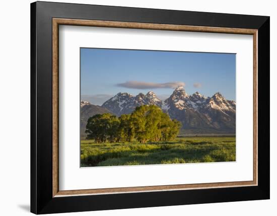 USA, Wyoming, Grand Teton National Park, Grand Tetons in the springtime.-Elizabeth Boehm-Framed Photographic Print