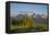 USA, Wyoming, Grand Teton National Park, Grand Tetons in the springtime.-Elizabeth Boehm-Framed Premier Image Canvas