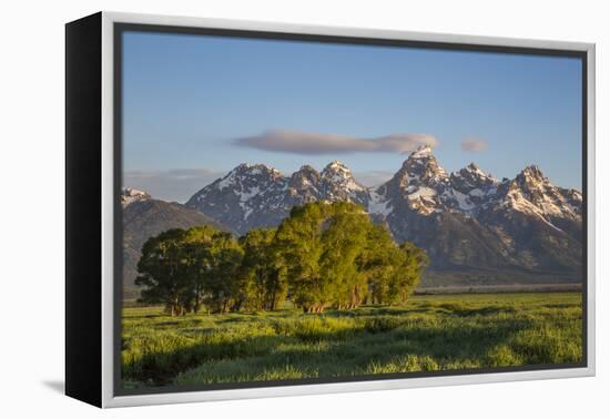 USA, Wyoming, Grand Teton National Park, Grand Tetons in the springtime.-Elizabeth Boehm-Framed Premier Image Canvas