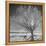 USA, Wyoming, Grand Teton National Park, Ice Tree-John Ford-Framed Premier Image Canvas