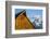 USA, Wyoming, Grand Teton National Park, Jackson, Barn roof in early morning-Elizabeth Boehm-Framed Photographic Print