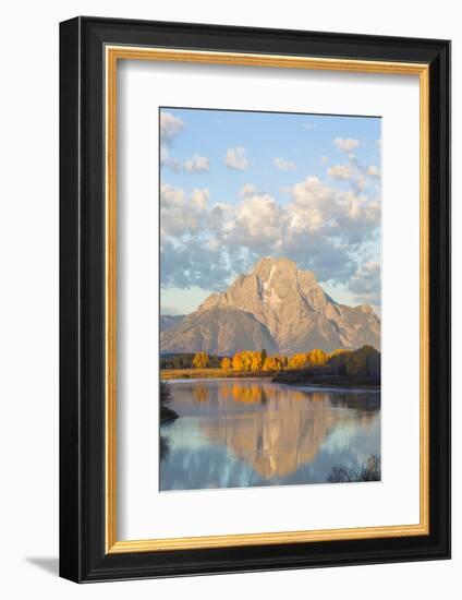 USA, Wyoming, Grand Teton National Park, Mt. Moran along the Snake River in autumn.-Elizabeth Boehm-Framed Photographic Print