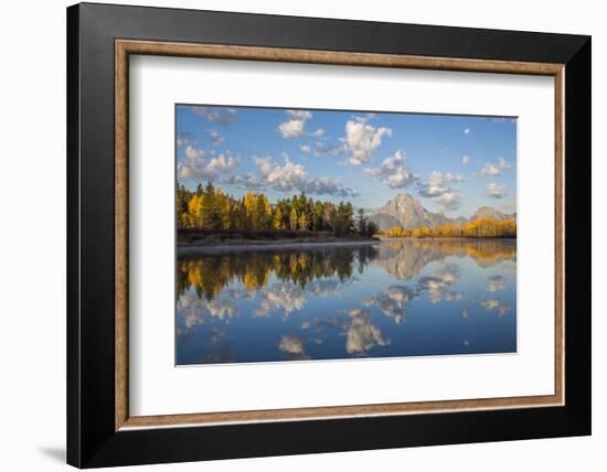 USA, Wyoming, Grand Teton National Park, Mt. Moran along the Snake River in autumn.-Elizabeth Boehm-Framed Photographic Print