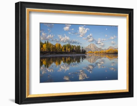 USA, Wyoming, Grand Teton National Park, Mt. Moran along the Snake River in autumn.-Elizabeth Boehm-Framed Photographic Print