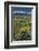 USA, Wyoming. Grand Teton Range and Arrowleaf Balsamroot wildflowers, Grand Teton National Park.-Judith Zimmerman-Framed Photographic Print