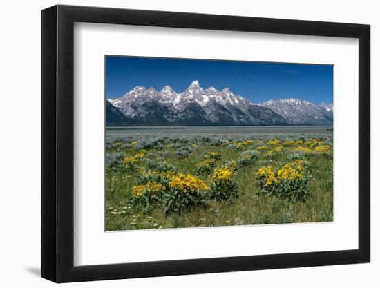 USA, Wyoming. Grand Teton Range, Grand Teton National Park.-Judith Zimmerman-Framed Photographic Print