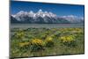 USA, Wyoming. Grand Teton Range, Grand Teton National Park.-Judith Zimmerman-Mounted Photographic Print