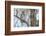 USA, Wyoming,  Great Horned Owl perches on a cottonwood tree.-Elizabeth Boehm-Framed Photographic Print