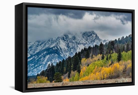 USA, Wyoming. Landscape of fall Aspen Trees and fall snow on mountain, Grand Teton National Park-Howie Garber-Framed Premier Image Canvas