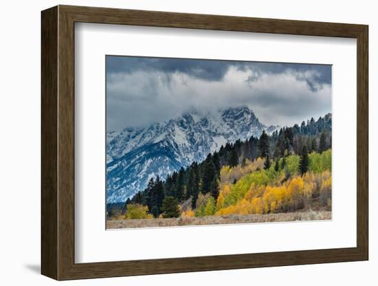 USA, Wyoming. Landscape of fall Aspen Trees and fall snow on mountain, Grand Teton National Park-Howie Garber-Framed Photographic Print