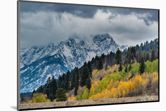 USA, Wyoming. Landscape of fall Aspen Trees and fall snow on mountain, Grand Teton National Park-Howie Garber-Mounted Photographic Print