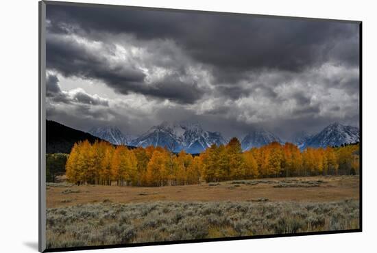 USA, Wyoming. Landscape of Golden Aspen Trees and snowy peaks, Grand Teton National Park-Howie Garber-Mounted Photographic Print