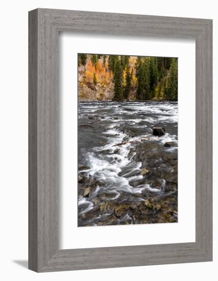 USA, Wyoming. LeHardys Rapids, Yellowstone National Park.-Judith Zimmerman-Framed Photographic Print