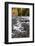 USA, Wyoming. LeHardys Rapids, Yellowstone National Park.-Judith Zimmerman-Framed Photographic Print