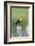 USA, Wyoming, male Yellow-headed Blackbird perches on dried cattails-Elizabeth Boehm-Framed Photographic Print