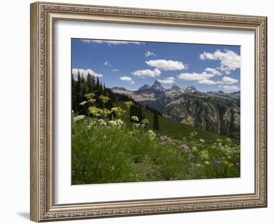 USA, Wyoming. Meadow filled with wildflowers in front of Grand Teton, Teton Mountains-Howie Garber-Framed Photographic Print