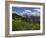 USA, Wyoming. Meadow filled with wildflowers in front of Grand Teton, Teton Mountains-Howie Garber-Framed Photographic Print