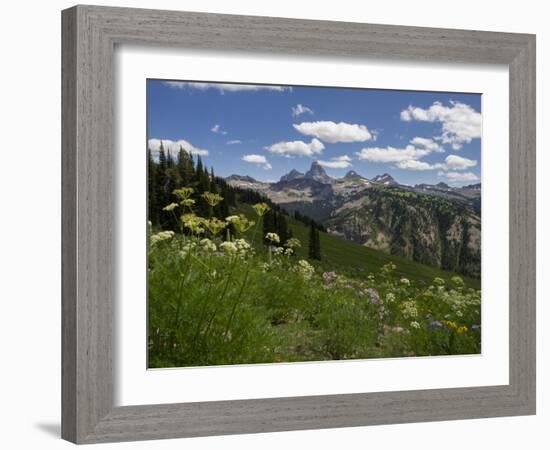 USA, Wyoming. Meadow filled with wildflowers in front of Grand Teton, Teton Mountains-Howie Garber-Framed Photographic Print