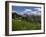 USA, Wyoming. Meadow filled with wildflowers in front of Grand Teton, Teton Mountains-Howie Garber-Framed Photographic Print