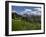 USA, Wyoming. Meadow filled with wildflowers in front of Grand Teton, Teton Mountains-Howie Garber-Framed Photographic Print