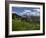 USA, Wyoming. Meadow filled with wildflowers in front of Grand Teton, Teton Mountains-Howie Garber-Framed Photographic Print