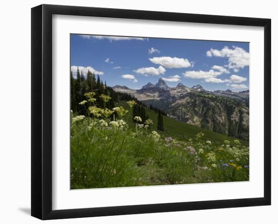 USA, Wyoming. Meadow filled with wildflowers in front of Grand Teton, Teton Mountains-Howie Garber-Framed Photographic Print