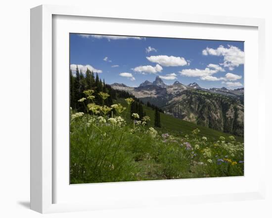 USA, Wyoming. Meadow filled with wildflowers in front of Grand Teton, Teton Mountains-Howie Garber-Framed Photographic Print