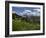 USA, Wyoming. Meadow filled with wildflowers in front of Grand Teton, Teton Mountains-Howie Garber-Framed Photographic Print