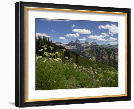 USA, Wyoming. Meadow filled with wildflowers in front of Grand Teton, Teton Mountains-Howie Garber-Framed Photographic Print