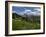 USA, Wyoming. Meadow filled with wildflowers in front of Grand Teton, Teton Mountains-Howie Garber-Framed Photographic Print