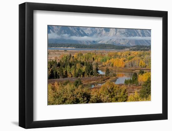 USA, Wyoming. Mount Moran and autumn aspens from the Oxbow, Grand Teton National Park.-Judith Zimmerman-Framed Photographic Print