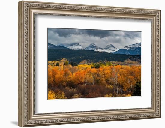 USA, Wyoming. Orange and yellow Aspens with snow-covered Teton Mountains near Jackson Hole.-Howie Garber-Framed Photographic Print