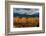 USA, Wyoming. Orange and yellow Aspens with snow-covered Teton Mountains near Jackson Hole.-Howie Garber-Framed Photographic Print
