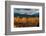 USA, Wyoming. Orange and yellow Aspens with snow-covered Teton Mountains near Jackson Hole.-Howie Garber-Framed Photographic Print