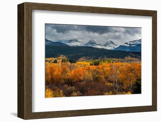 USA, Wyoming. Orange and yellow Aspens with snow-covered Teton Mountains near Jackson Hole.-Howie Garber-Framed Photographic Print