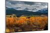 USA, Wyoming. Orange and yellow Aspens with snow-covered Teton Mountains near Jackson Hole.-Howie Garber-Mounted Photographic Print