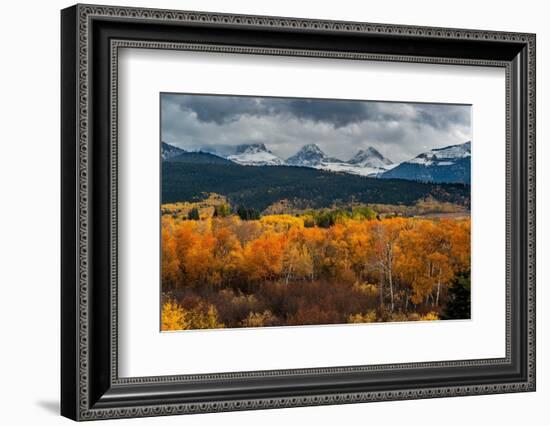 USA, Wyoming. Orange and yellow Aspens with snow-covered Teton Mountains near Jackson Hole.-Howie Garber-Framed Photographic Print