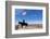 USA, Wyoming, Ranch, Sign, Cowboy, Us Flag-Catharina Lux-Framed Photographic Print