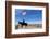 USA, Wyoming, Ranch, Sign, Cowboy, Us Flag-Catharina Lux-Framed Photographic Print