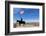 USA, Wyoming, Ranch, Sign, Cowboy, Us Flag-Catharina Lux-Framed Photographic Print