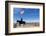 USA, Wyoming, Ranch, Sign, Cowboy, Us Flag-Catharina Lux-Framed Photographic Print